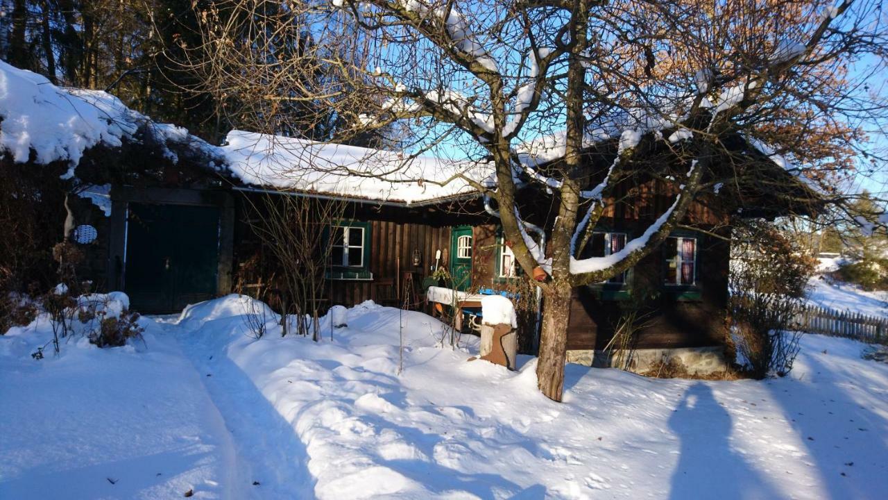 Landhaus Bernecker, Bay.W. Rinchnach Zewnętrze zdjęcie
